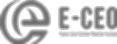 E-CEO
