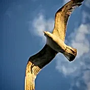 Fotografcilik Egitim Fotograflari