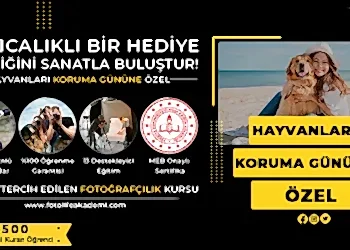 Hayvanları Koruma Günü’ne Özel %50 İndirim!
